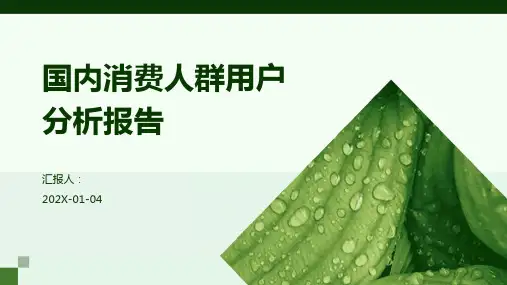 国内消费人群用户分析报告