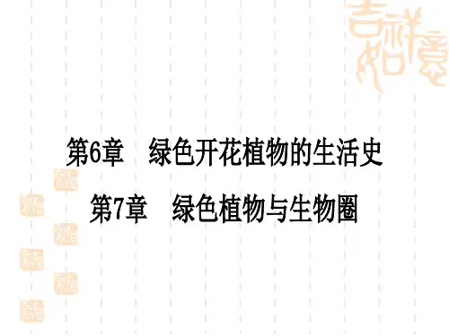 北师版中考生物 教材系统复习 七年级上册 第6章 绿色开花植物的生活史 第7章 绿色植物与生物圈