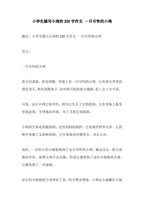 小学生描写小鸡的200字作文 一只可怜的小鸡