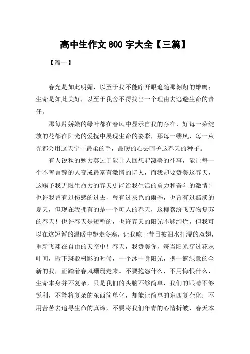 高中生作文800字大全【三篇】