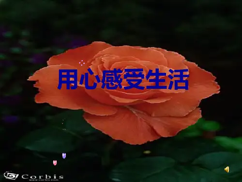 作文-初中作文指导：用心感受生活ppt14优秀PPT