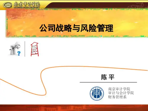 第01章 战略与战略管理CPA