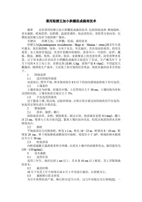 菜用短梗五加小拱棚促成栽培技术