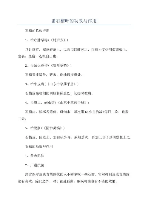 番石榴叶的功效与作用