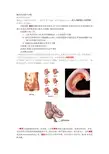 阑尾炎的超声诊断
