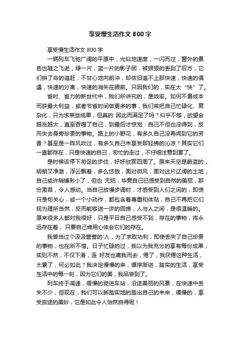 享受慢生活作文800字
