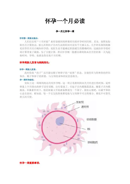 怀孕一个月必读