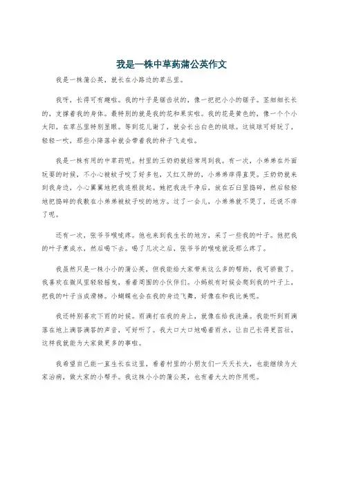 我是一株中草药蒲公英作文