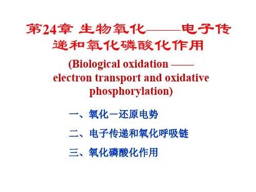 生物氧化——电子传递和氧化磷酸化作用