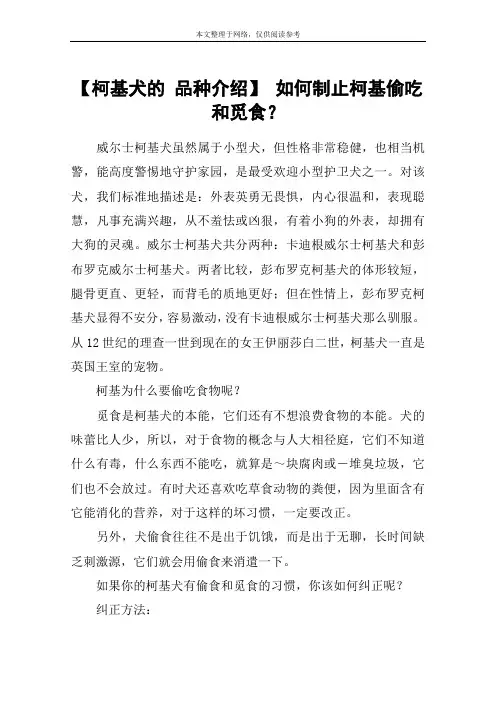 【柯基犬的 品种介绍】 如何制止柯基偷吃和觅食？