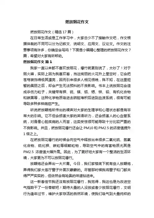 燃放烟花作文（精选17篇）