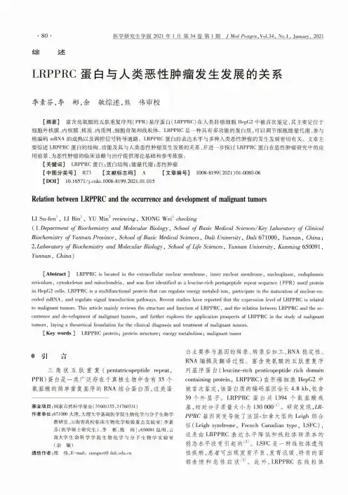 LRPPRC蛋白与人类恶性肿瘤发生发展的关系
