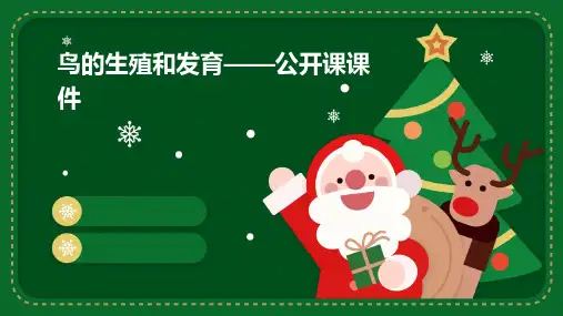 鸟的生殖和发育——公开课课件