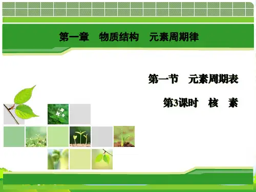 化学同步优化指导(人教版必修2)课件：第01章 第01节 第03课时 核 素