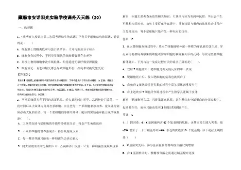 高考生物 课外天天练__2