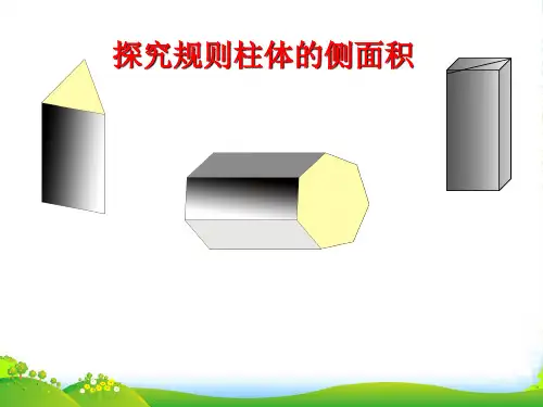 西师大版五年级下册数学课件《长方体、正方体的表面积》 (共16张PPT)