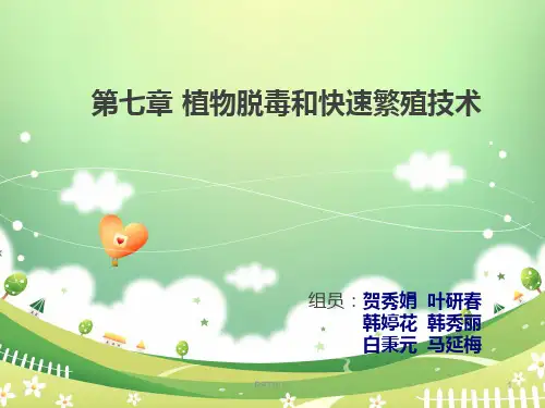 植物脱毒和快速繁殖技术  ppt课件
