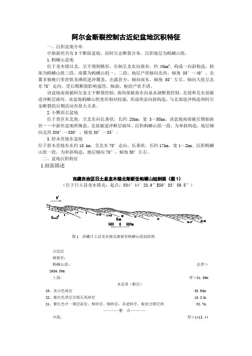 阿尔金断裂控制沉积盆地及沉积特征