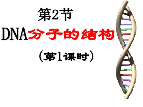 人教版高中生物必修2第3章第2节 DNA分子的结构(共22张PPT)