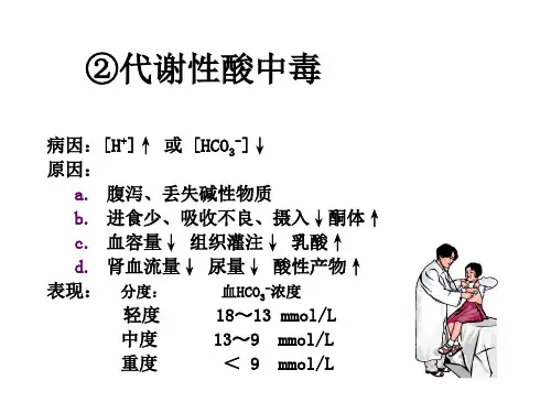 代谢性酸中毒PPT课件