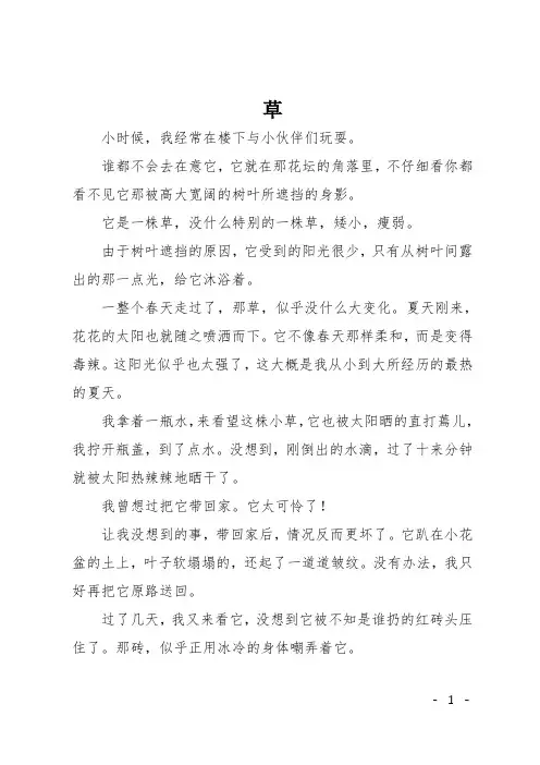 初二作文(散文)草
