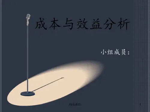 成本与效益分析经典.ppt