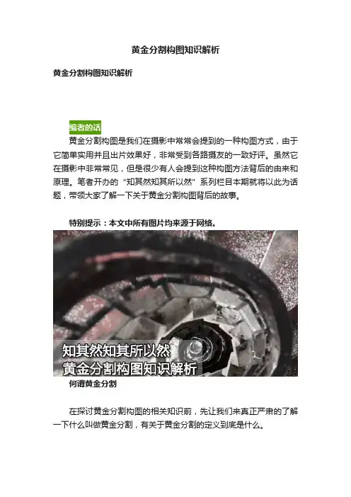 黄金分割构图知识解析