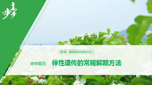 19-20版：微专题四　伴性遗传的常规解题方法（步步高）