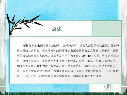 嗜铬细胞瘤的临床表现ppt课件