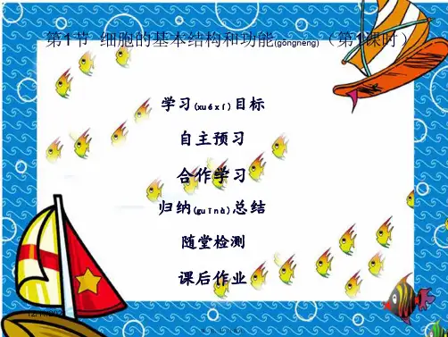 七年级生物上册第2单元第3章第1节细胞的基本结构和功能