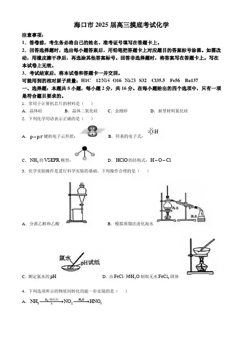 海南省海口市2025届高三上学期摸底考试 化学试题(含答案)