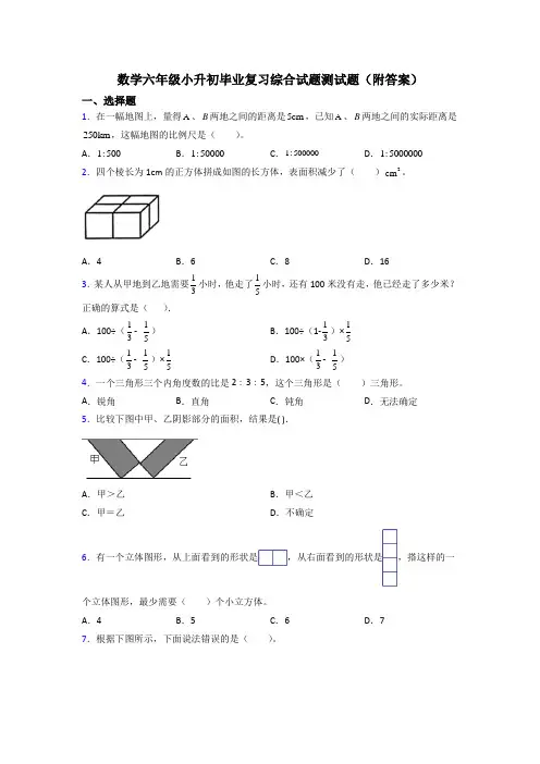 数学六年级小升初毕业复习综合试题测试题(附答案)