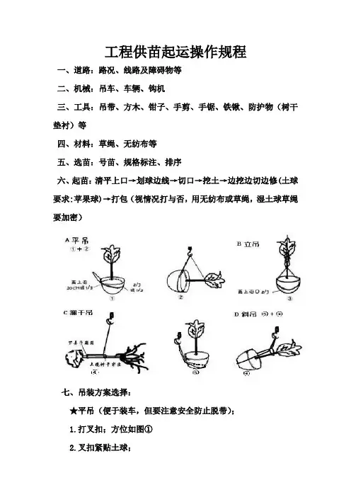 苗木起★吊装操作规程