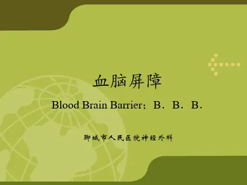 血脑屏障精品PPT课件