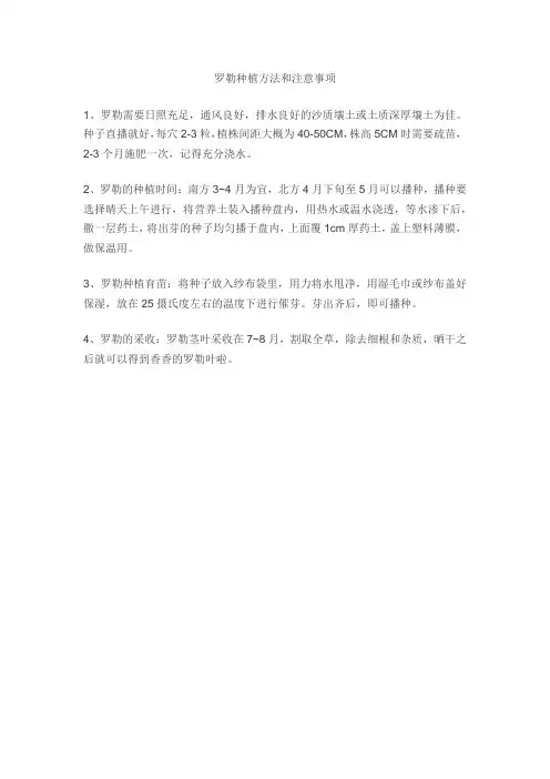 罗勒种植方法和注意事项