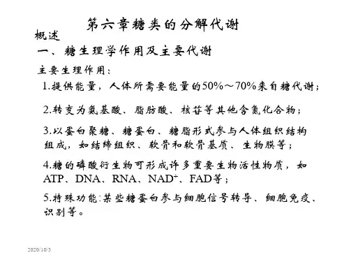 第6章糖代谢2006.11 生物化学 教学课件