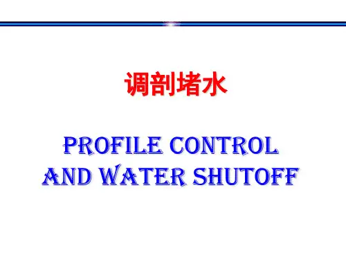调剖堵水(ERO)
