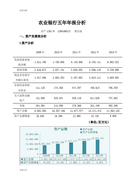 农业银行五年年报分析报告