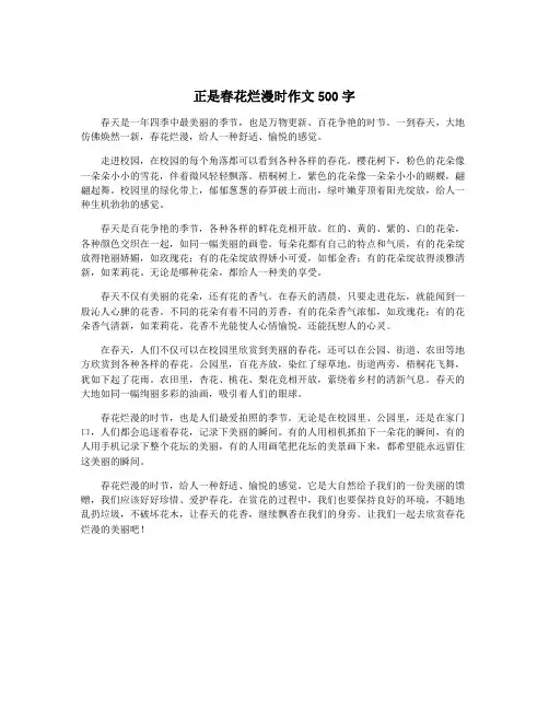 正是春花烂漫时作文500字