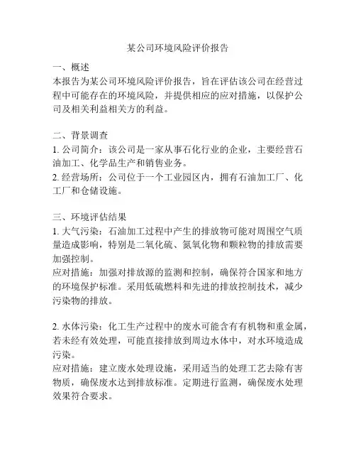某公司环境风险评价报告