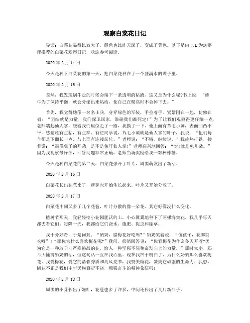 观察白菜花日记