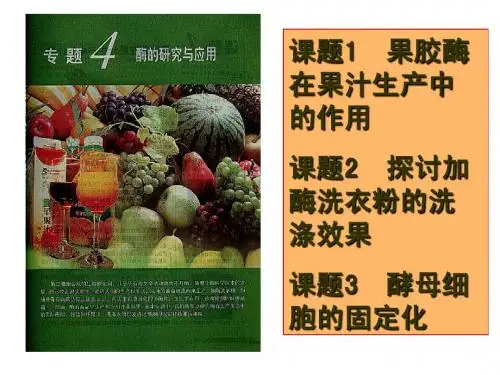 4.1果胶酶在果汁生产中的应用