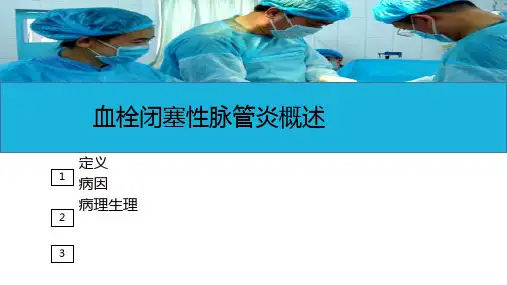 周围血管疾病病人的护理—血栓闭塞性脉管炎病人的护理(护理课件)