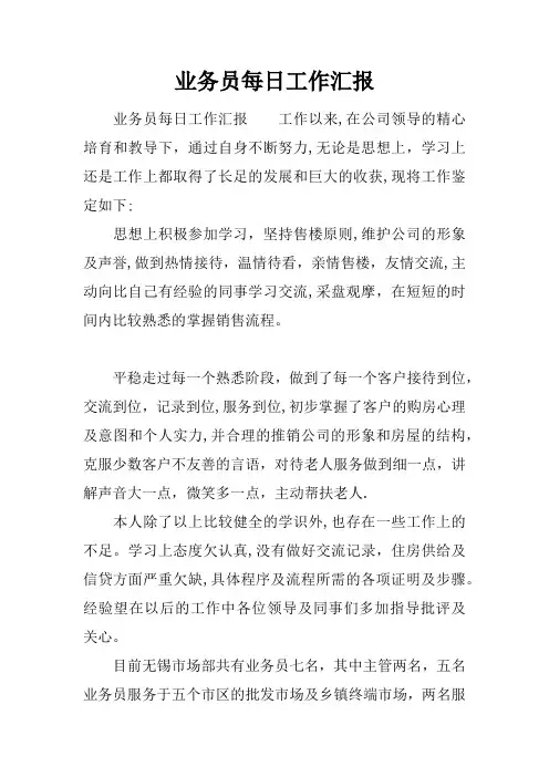 业务员每日工作汇报