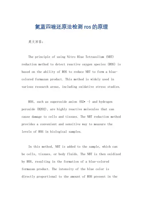 氮蓝四唑还原法检测ros的原理