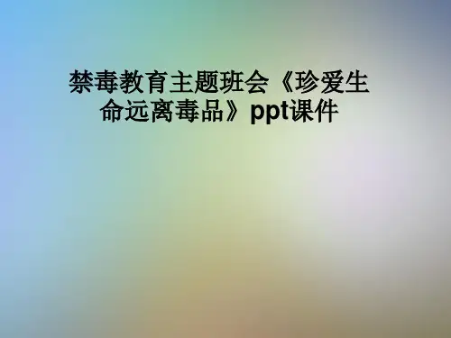禁毒教育主题班会《珍爱生命远离毒品》ppt课件