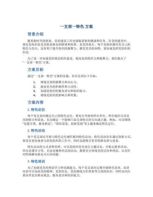 一支部一特色 方案