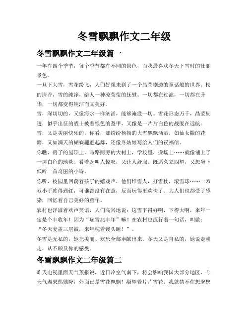 冬雪飘飘作文二年级