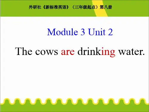 六年级下册英语课件-M3U2  The cows are drinking water.｜外研社(三