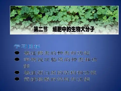 生物苏教版必修一22细胞中的生物大分子(课件)
